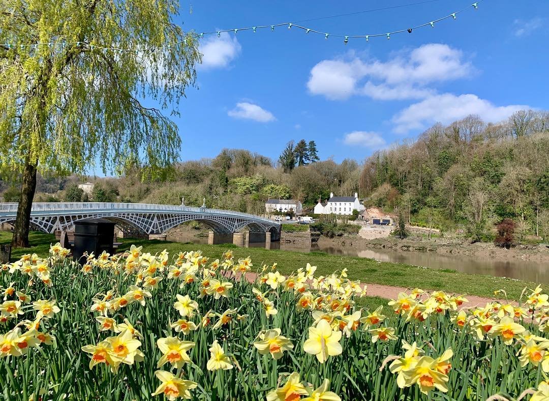 @borntobeawild1 Chepstow Old Wye Bridge